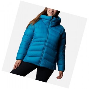 Dámské Bundy Columbia Autumn Park Down Hooded Plus Size Blankyt | JTLB-51827