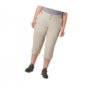 Dámské Kalhoty Columbia Silver Ridge 2.0 Capri Plus Size Hnědožlutý | LJPH-92176