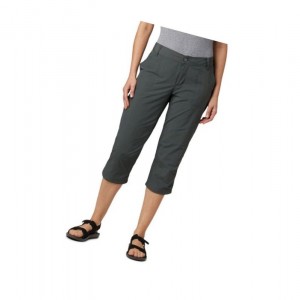 Dámské Kalhoty Columbia Silver Ridge 2.0 Capri Tmavě Šedé | GNVT-74518