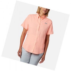Dámské Košile Columbia PFG Tamiami II Short Sleeve Růžové | UTND-28074