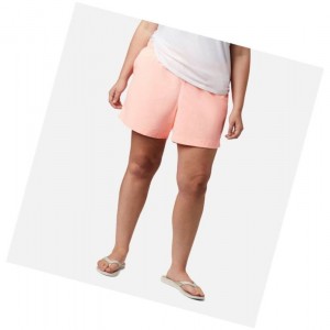 Dámské Kraťasy Columbia PFG Backcast Water Plus Size Růžové | SUIX-13456