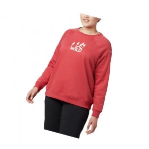 Dámské Mikina Columbia Hart Mountain Long Sleeve Graphic Crew Plus Size Červené | QHEX-12486
