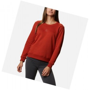 Dámské Mikina Columbia Logo Crew Top Vínové | DOFL-05142
