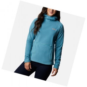 Dámské Mikina s Kapucí Columbia Ali Peak Hooded Fleece Blankyt | FJYW-08347