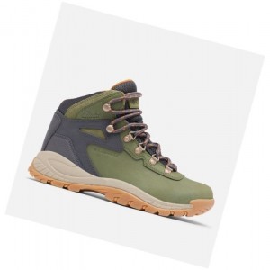 Dámské Pohorky Columbia Newton Ridge Plus Waterproof Zelene | IPRN-61459