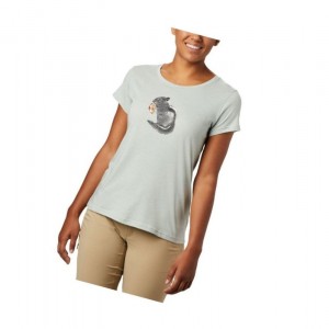 Dámské Tričko Columbia Hidden Lake Crew Zelene | PQLO-70369