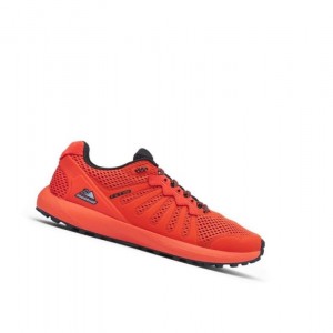 Pánské Běžecké Boty Columbia F.K.T. Trail Oranžové Bílé | KIJH-49382