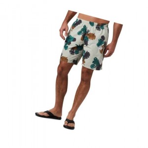 Pánské Kraťasy Columbia Big Dippers Water Big Zelene | OCQW-39165