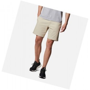 Pánské Kraťasy Columbia Shale Trail Short Hnědožlutý | APBI-13204