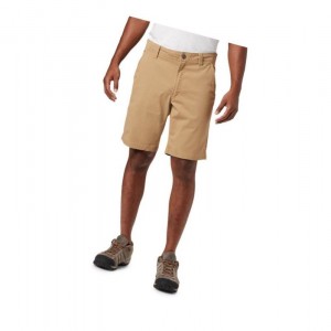 Pánské Kraťasy Columbia Ultimate Roc Flex Hnědé | ZDIO-27691