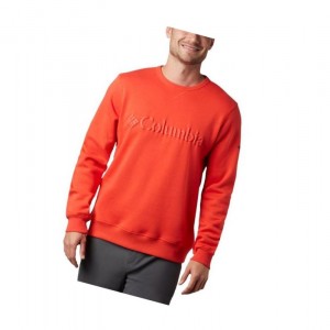 Pánské Mikina Columbia Logo Fleece Crew Hnědožlutý | UCHP-31267