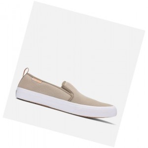 Pánské PFG Fishing Columbia PFG Dorado Slip II Hnědé | KHYF-68134