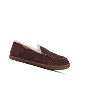 Pánské Pantofle Columbia Big Sky Moc Hnědé | FQRS-90457