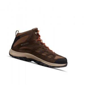 Pánské Pohorky Columbia Crestwood Mid Waterproof Tmavě Hnědé | LORE-97643