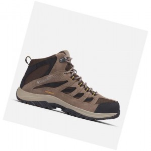 Pánské Pohorky Columbia Crestwood Mid Waterproof Tmavě Hnědé Šedé | DYWN-96052
