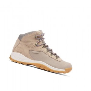 Pánské Pohorky Columbia Newton Ridge Canvas Waterproof Hnědé Královská Modrá | HDNY-51403
