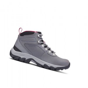 Pánské Pohorky Columbia Newton Ridge Plus II Waterproof Wide Šedé | STGX-01654