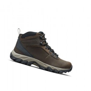 Pánské Pohorky Columbia Newton Ridge Plus II Waterproof Tmavě Hnědé Šedé | MSEH-90486