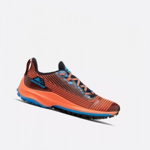 Pánské Trailové Běžecké Boty Columbia Montrail Trinity AG Červené Černé | FVEB-65043